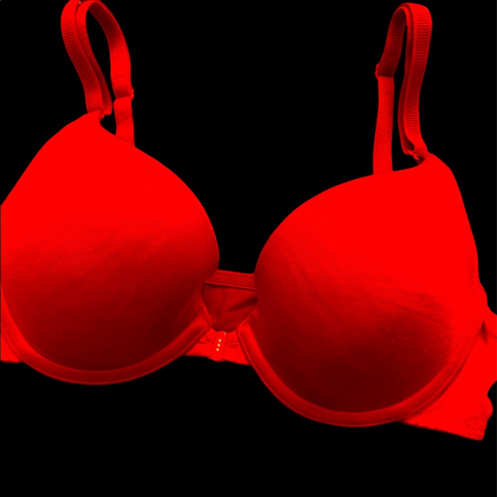 Lily of France front closure push up bra